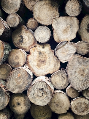 Stablede tømmerstokker
