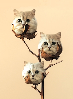 Katzen aus Baumwolle