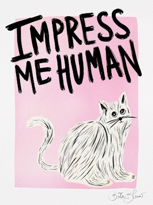 Impress me human - cat