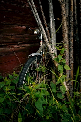 Forgotten bicycle