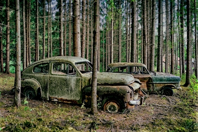 2 verlassene Autos im Wald