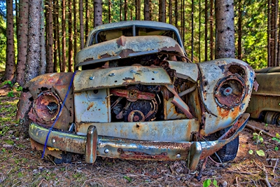 Volvo PV544 abbandonata nel bosco