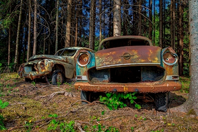 2 verlassene Autos im Wald