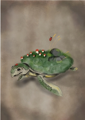 Sköldpaddan 