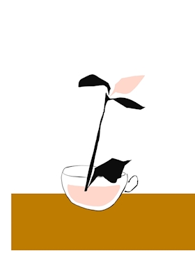 tea plant - 01