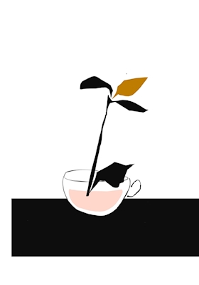 tea plant - 02