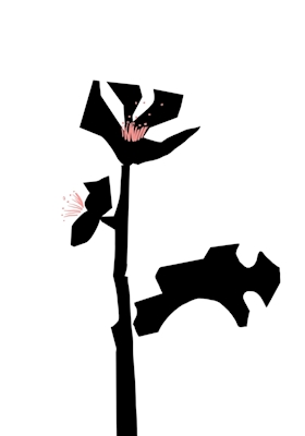 Blume mit den schwarzen Blättern