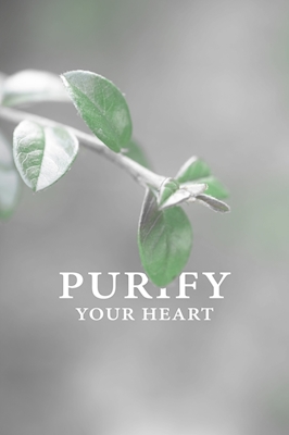 Purify your heart