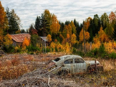 Volvo PV544 no campo de outono