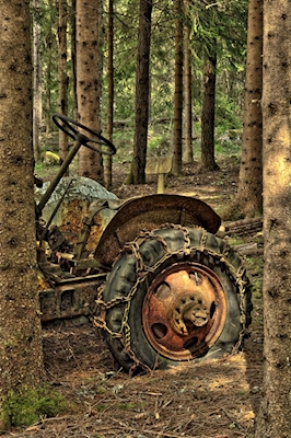 Porzucony ciągnik w lesie