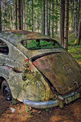Abandoned Volvo PV544 in decay