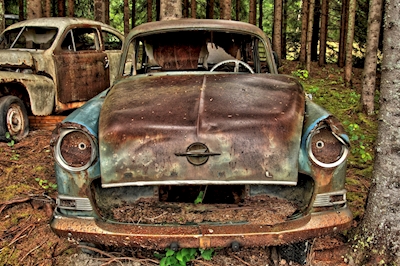 Dumpet Opel i skogen