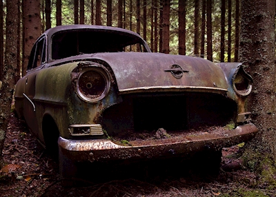 Dumpad Opel i skogen 2