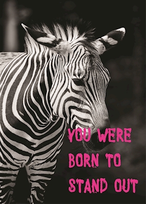 Plakat firmy Zebra
