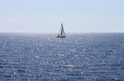 Segelbåt på ett glittrande hav