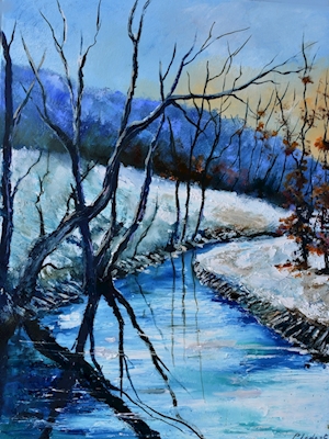 Flod på vintern