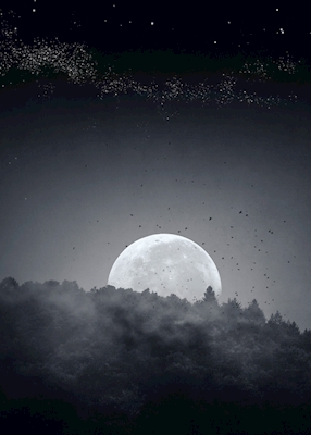 Luna piena sopra la foresta nella nebbia