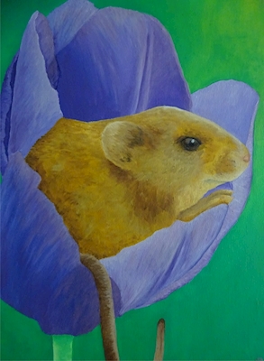 Maus in Tulpe