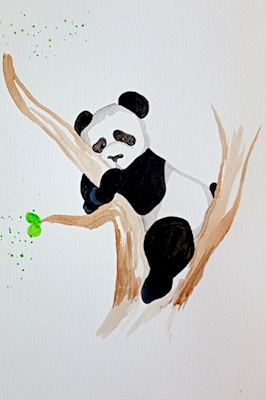 Bambusbjörn er sliten 