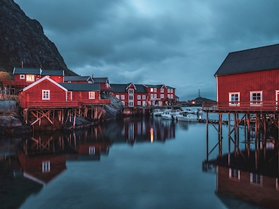 A i Lofoten in Norvegia