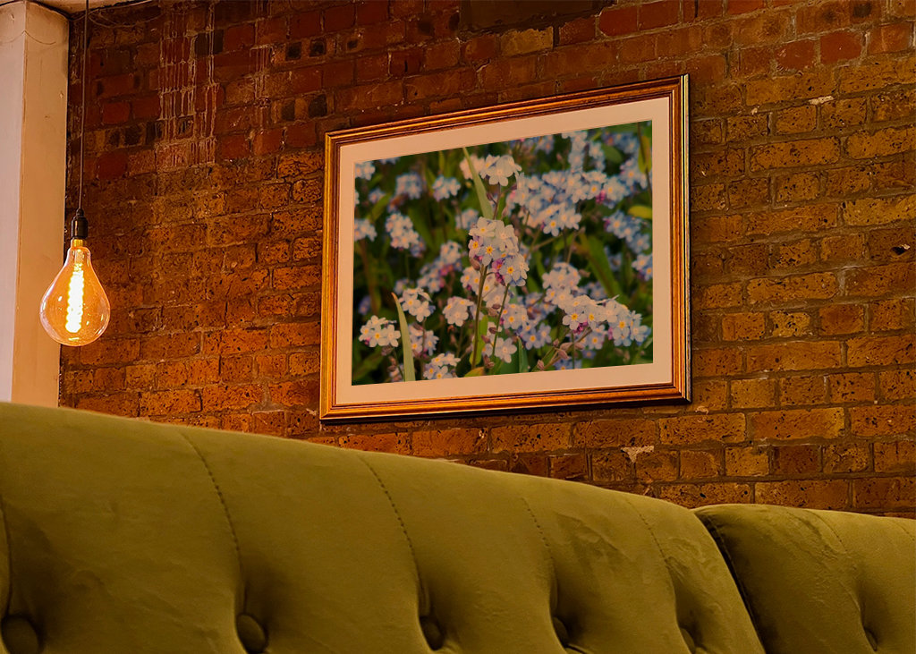 Blume Vergissmeinnicht