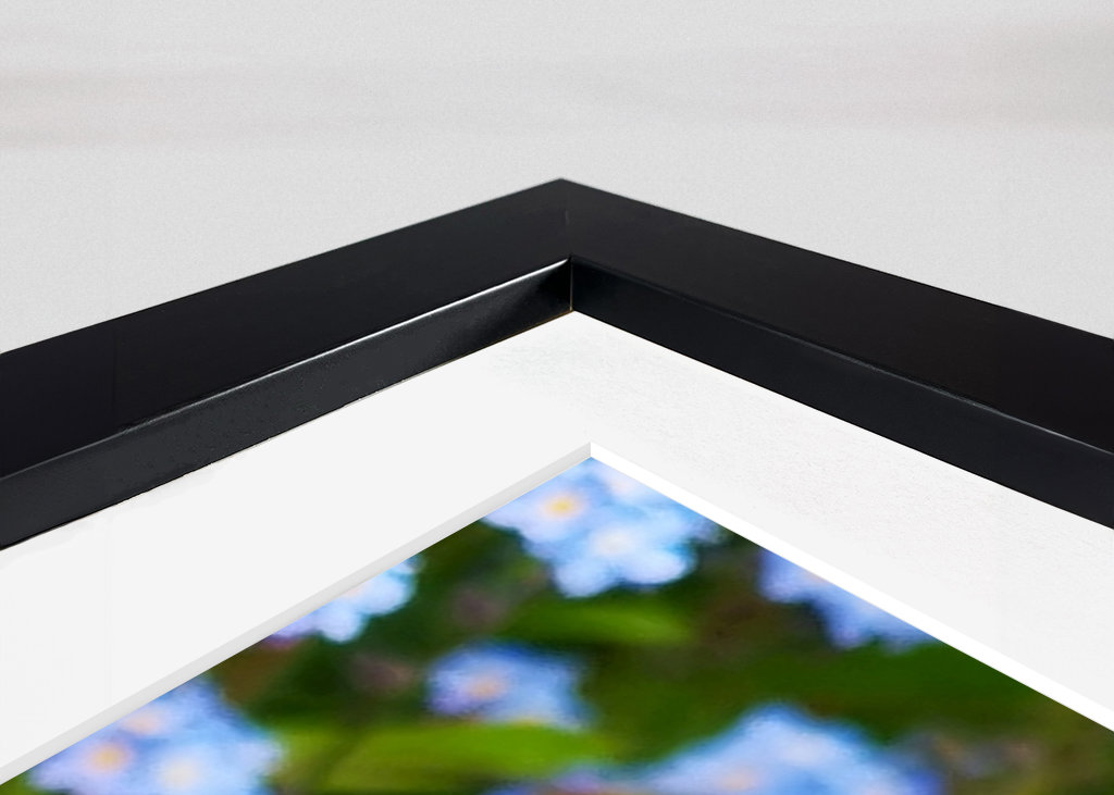 Blume Vergissmeinnicht