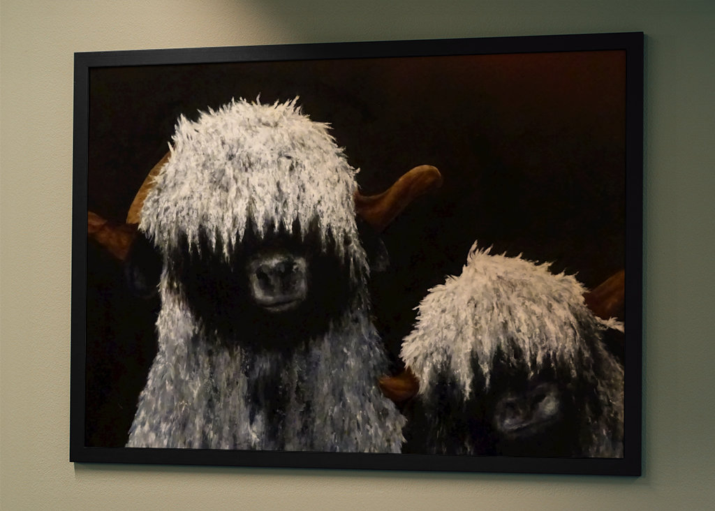 Oveja de nariz negra del Valais