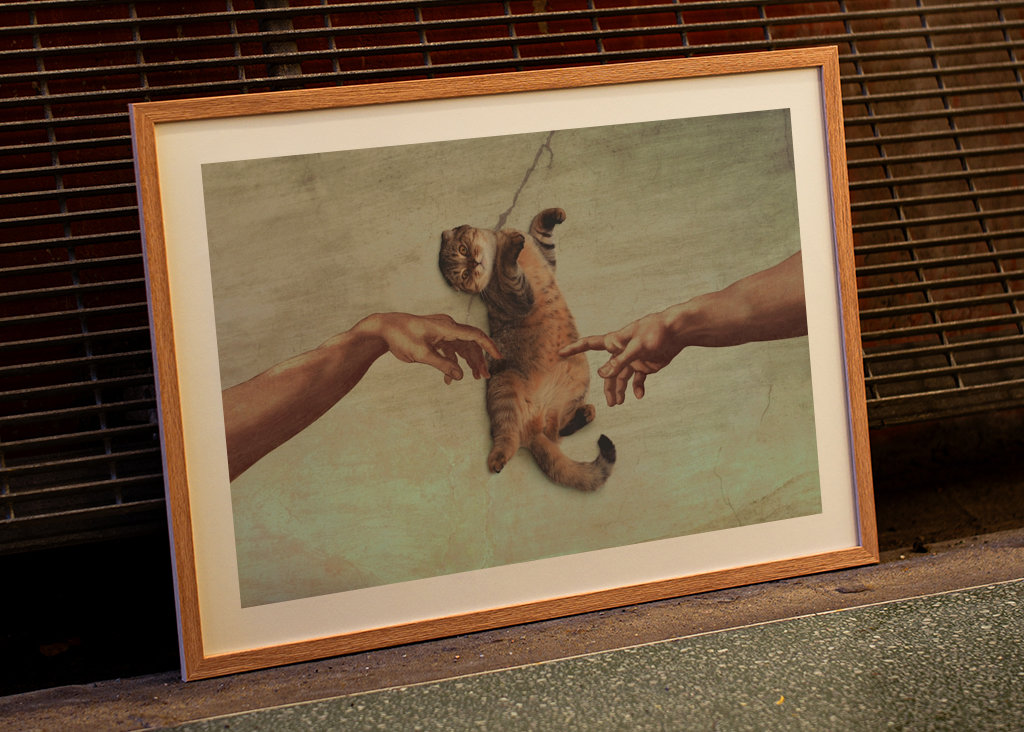 Klopfen mit einer Katze