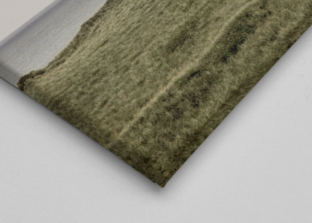 Gröna sanddyner i Danmark