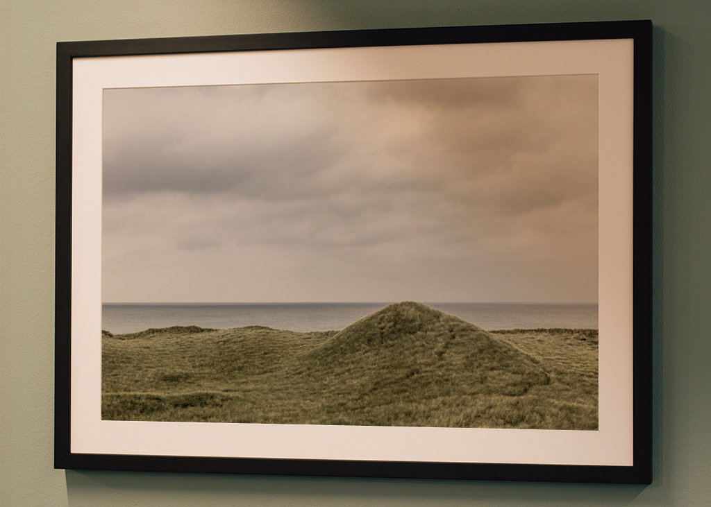 Gröna sanddyner i Danmark