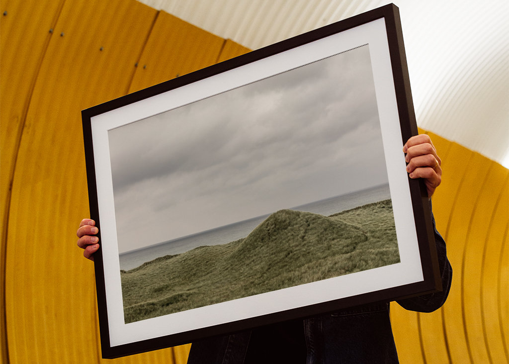 Gröna sanddyner i Danmark