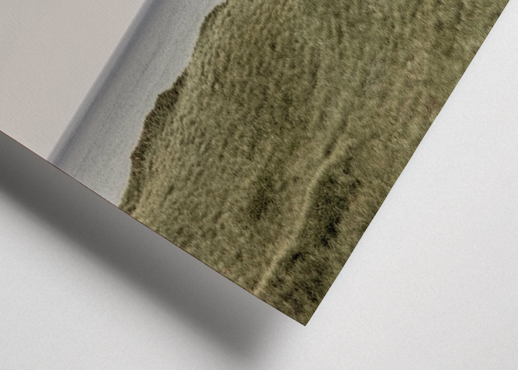 Gröna sanddyner i Danmark