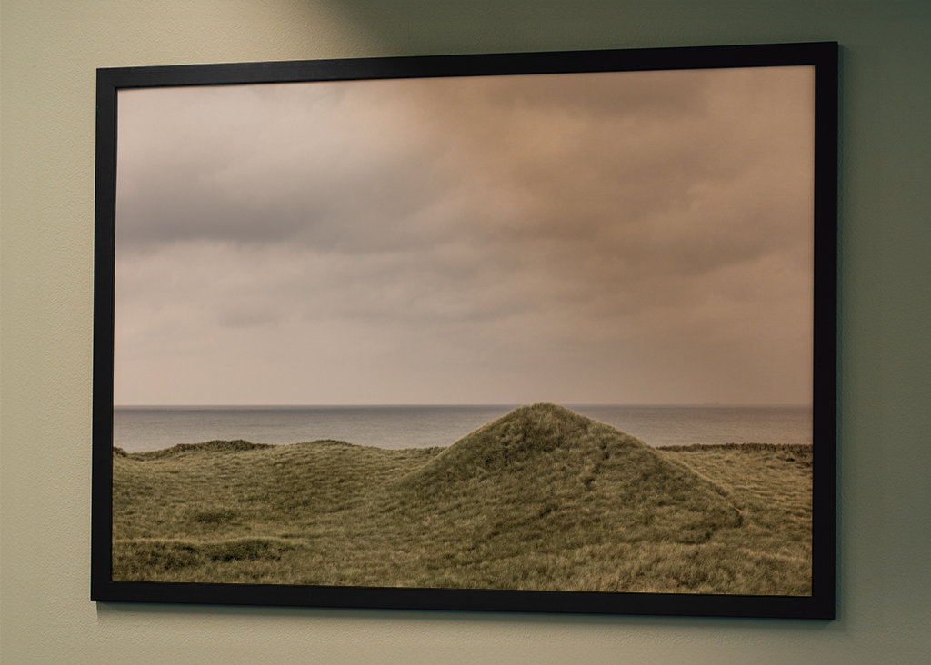 Gröna sanddyner i Danmark