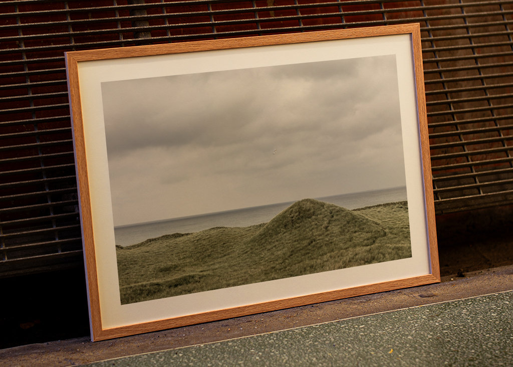 Gröna sanddyner i Danmark