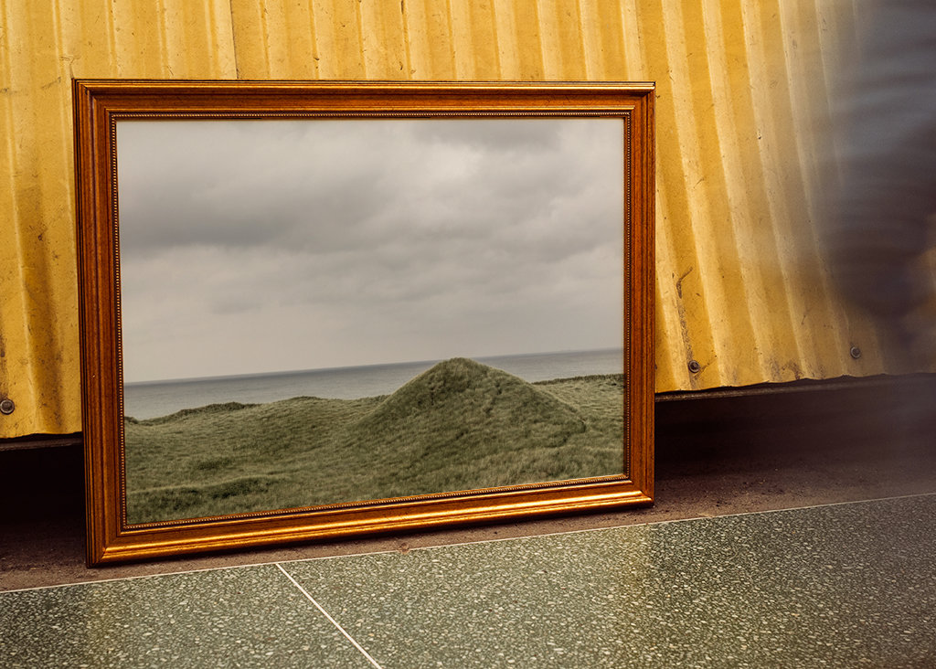 Gröna sanddyner i Danmark