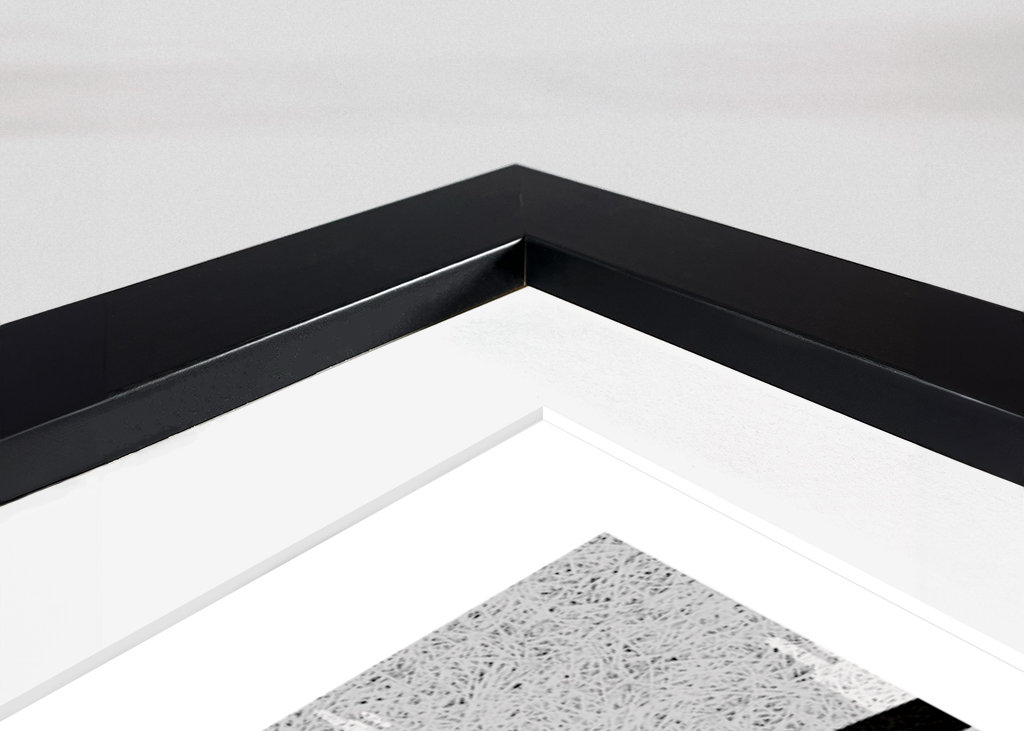 Falling Water Frank Loyd Wrigh