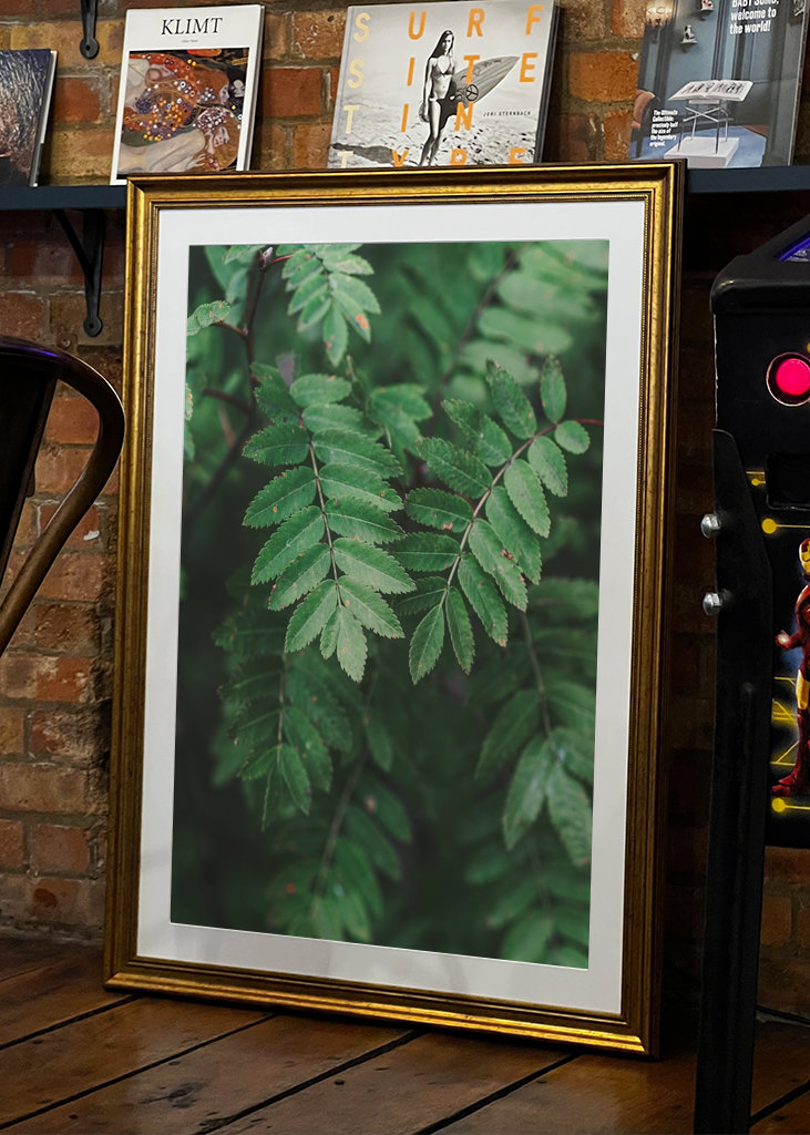 Bienvenue derrière les arbres