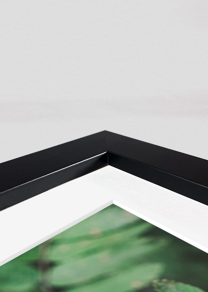 Bienvenue derrière les arbres