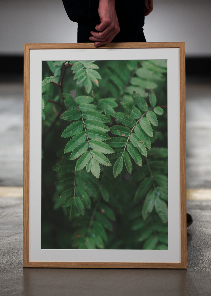 Bienvenue derrière les arbres