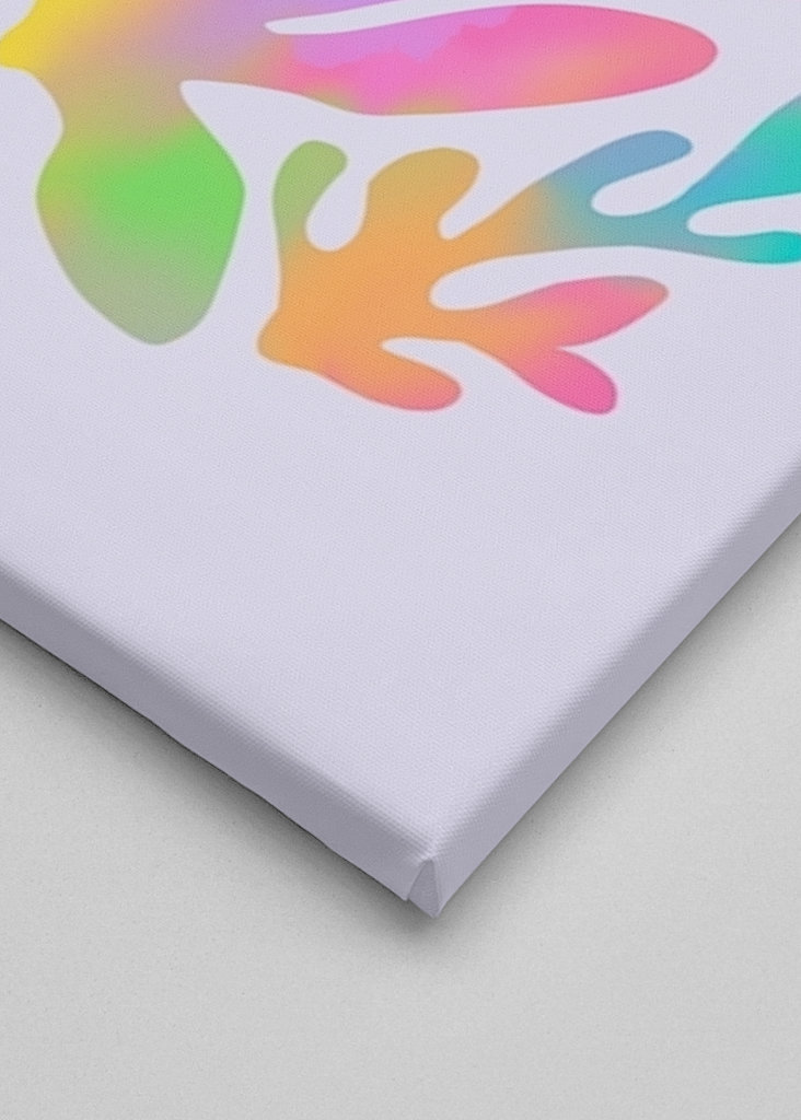 Matisse: Abstraktní pastel