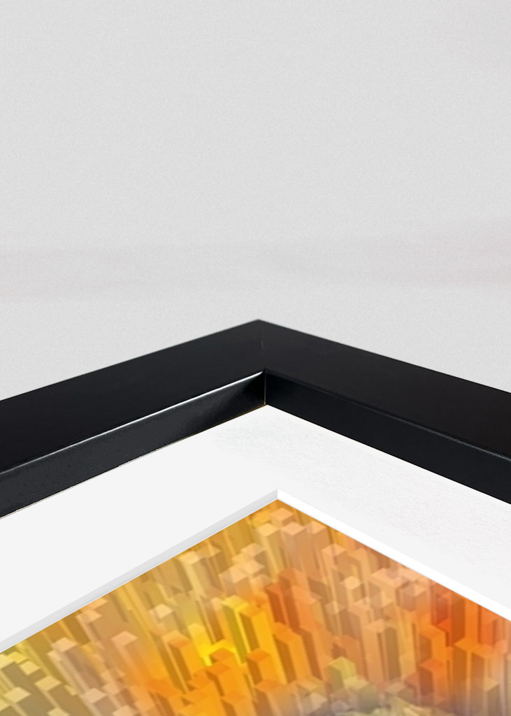 ARICHMEDES ONLINE "TIMELAPSE"