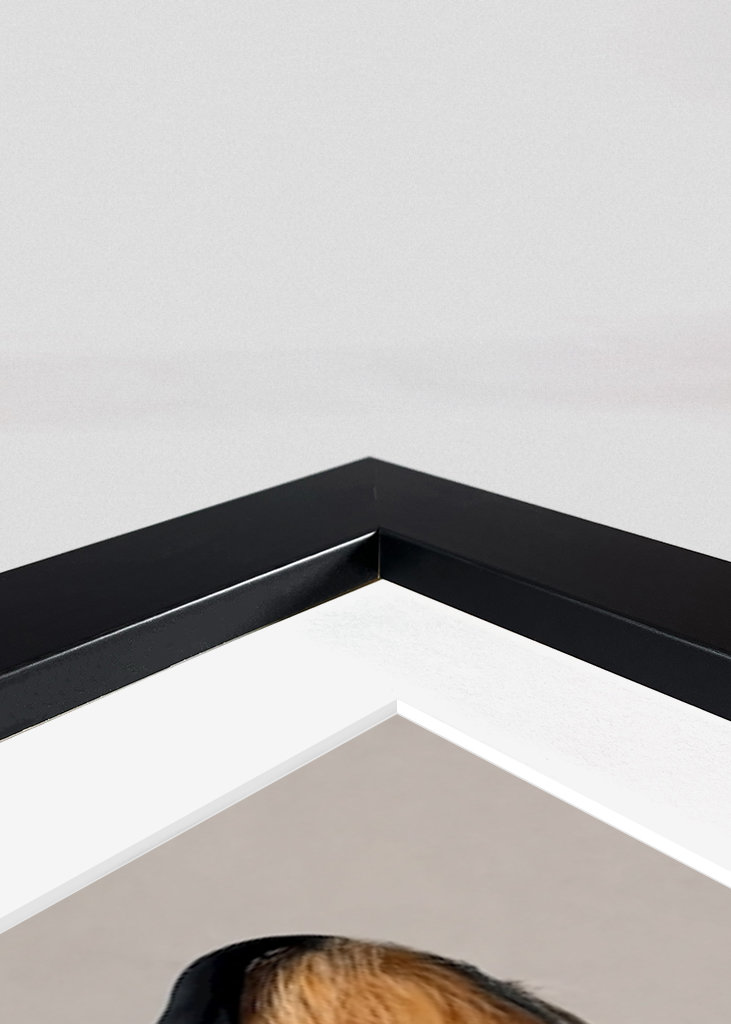 Corgi i kapucnis pulóver