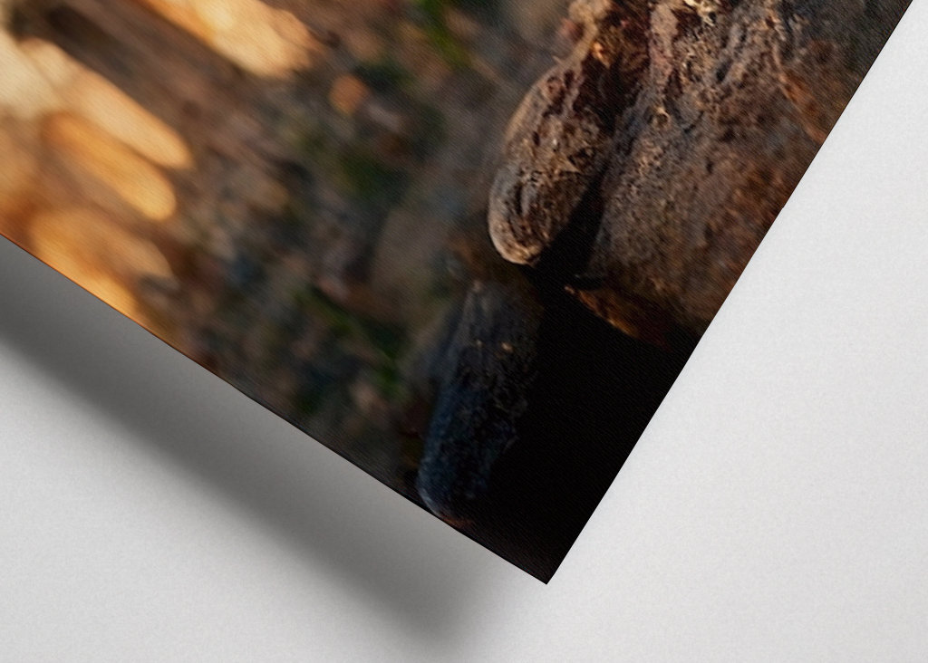 Pubblicità del vino dell'antica Roma