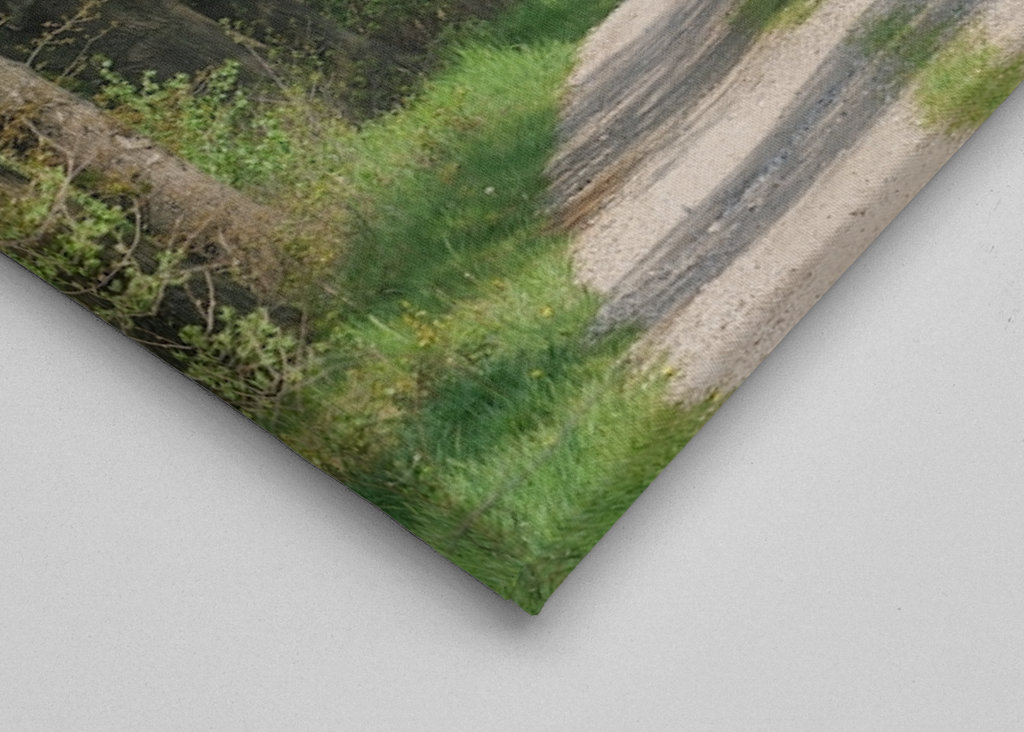 Lesní cesta v Münsterlandu