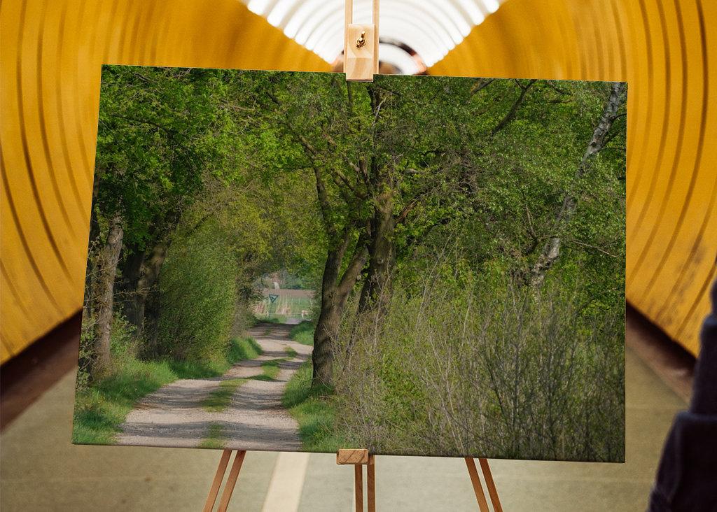 Lesní cesta v Münsterlandu