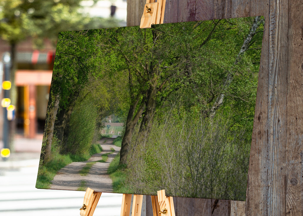 Lesní cesta v Münsterlandu