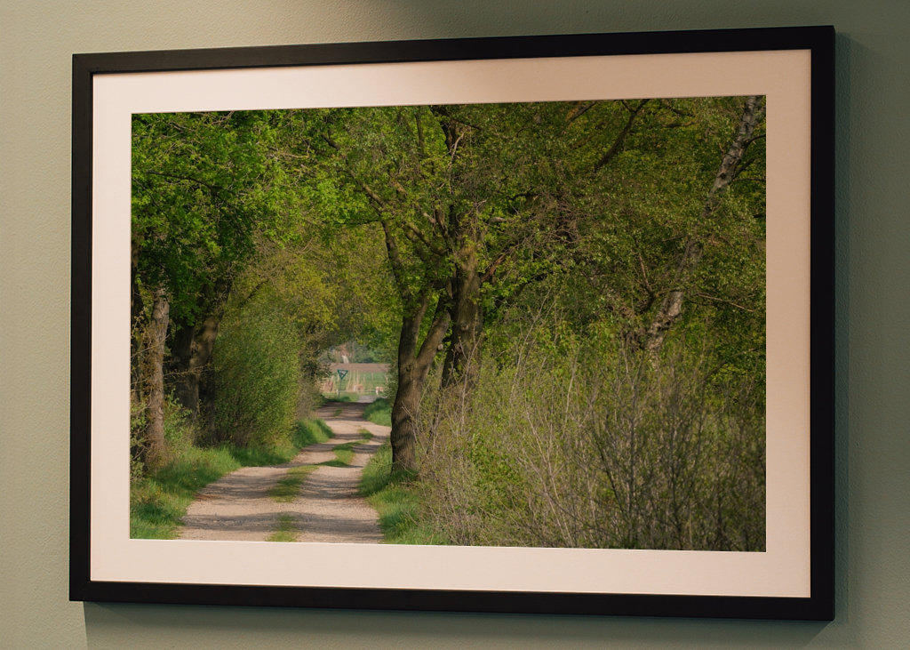 Lesní cesta v Münsterlandu