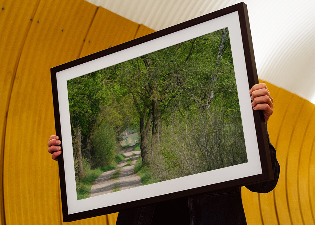 Lesní cesta v Münsterlandu