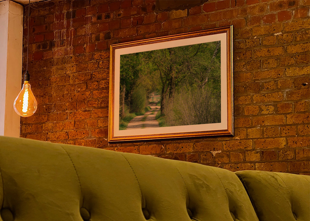 Lesní cesta v Münsterlandu