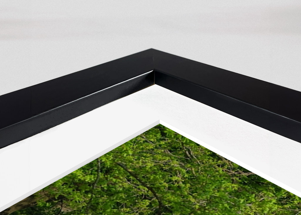 Lesní cesta v Münsterlandu